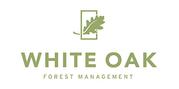 White Oak Forestry Management Logo