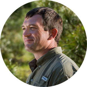 Loblolly Pine Checklots: Clarity Or Confusion? 1 Authored By Dr. Patrick Cumbie
