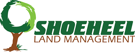 Shoeheel Logo Resized Arborgen Tree Seedlings Tree Planters