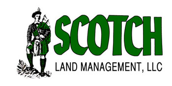 Scotch Land Management Arborgen Tree Seedlings Pine Seedlings