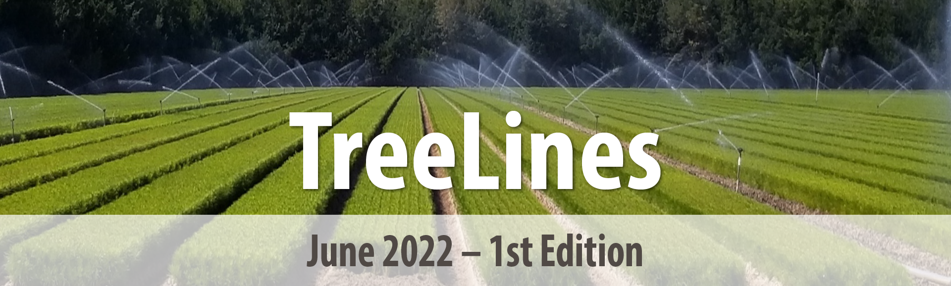 Arborgen_Tl_June_2022_1Sted_Header_Pageheader_1920X578 Arborgen Tree Seedlings Treelines June 2022 1St Edition