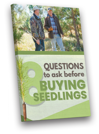 8 Questions To Ask Before Buying Seedlings Cover 8 Questions To Ask Before Buying Seedlings Cover Arborgen Tree Seedlings Mississippi