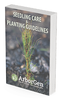 Seedling Care And Planting Guidelines Cover Seedling Care And Planting Guidelines Cover Arborgen Tree Seedlings When You Have To Plant Late