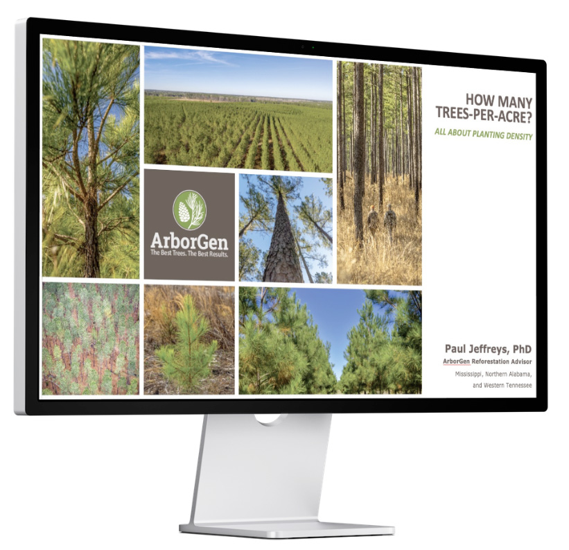 Webinar Replay Thumbnail Webinar Replay Thumbnail Arborgen Tree Seedlings Mass Control Pollinated Loblolly Pine Seedlings - Mcp