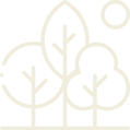 Forest Forest_Alt