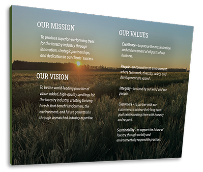 Mission-Vision-Values-Graphic-03 Mission Vision Values Graphic 03 Arborgen Tree Seedlings Home Page 2024