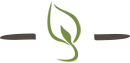 Leaf-Divider Leaf Divider Arborgen Tree Seedlings Hardwood Seedlings