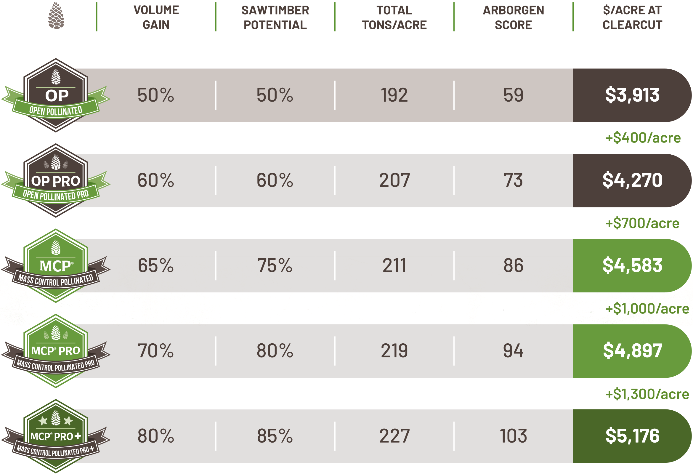 Coastal Product Arborgen Tree Seedlings Pine Seedlings