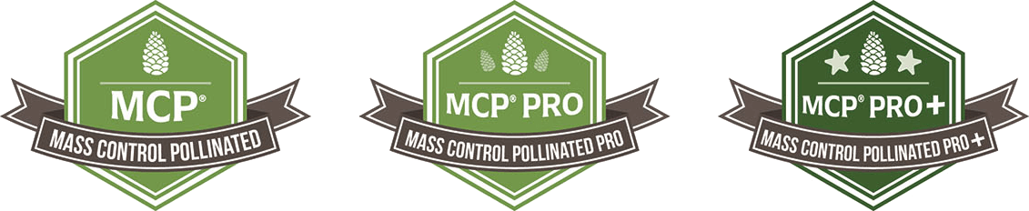 Mass Control Pollinated Loblolly Pine Seedlings - Mcp 2 Mcp Arborgen Pine Product Badges Trans 1024X210 1 Arborgen Tree Seedlings Mass Control Pollinated Loblolly Pine Seedlings - Mcp