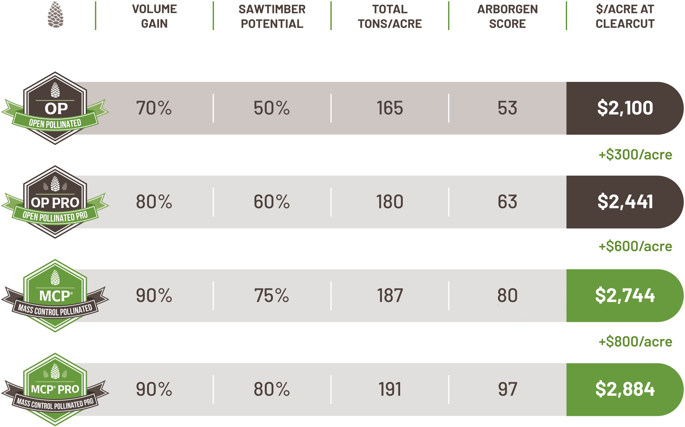 Northern Product Arborgen Tree Seedlings Pine Seedlings