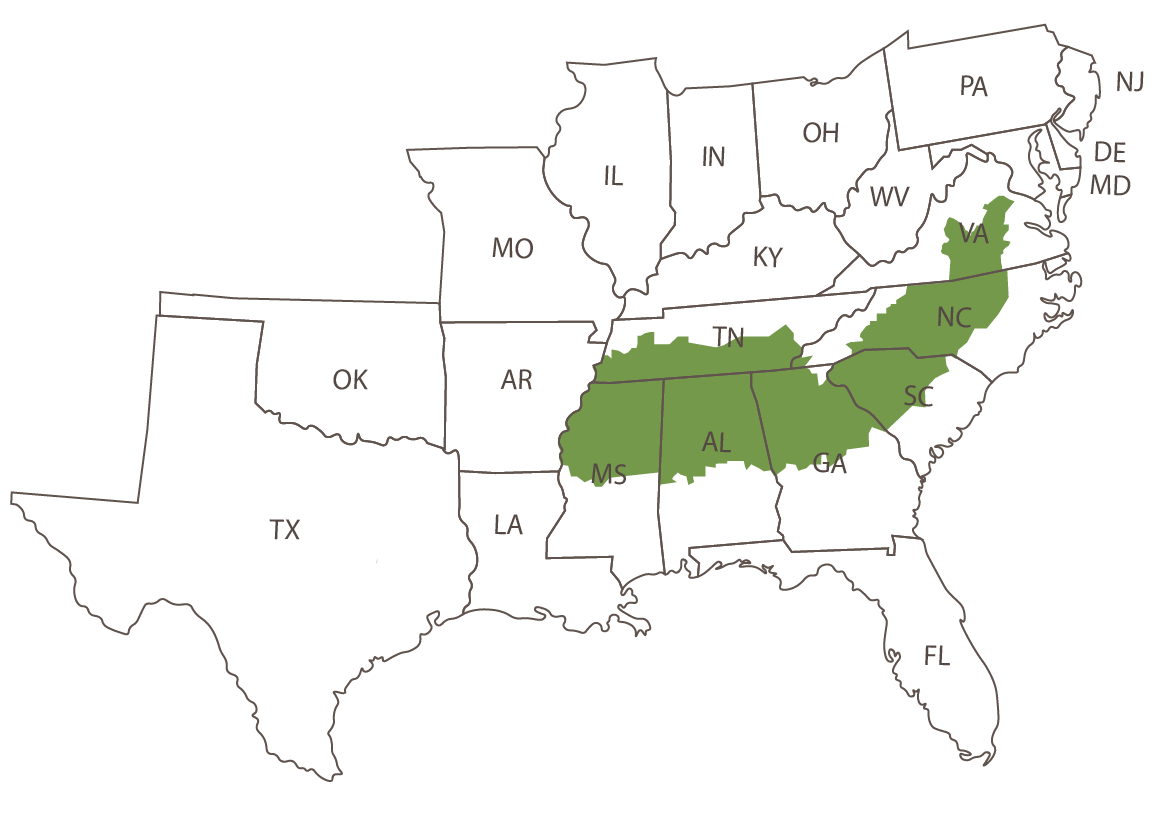 Piedmont Map Arborgen Tree Seedlings Mass Control Pollinated Loblolly Pine Seedlings - Mcp