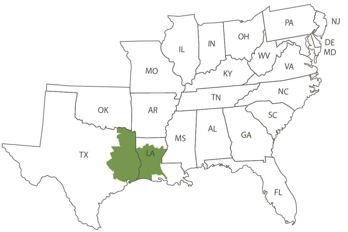 Texas Map Arborgen Tree Seedlings Mass Control Pollinated Loblolly Pine Seedlings - Mcp