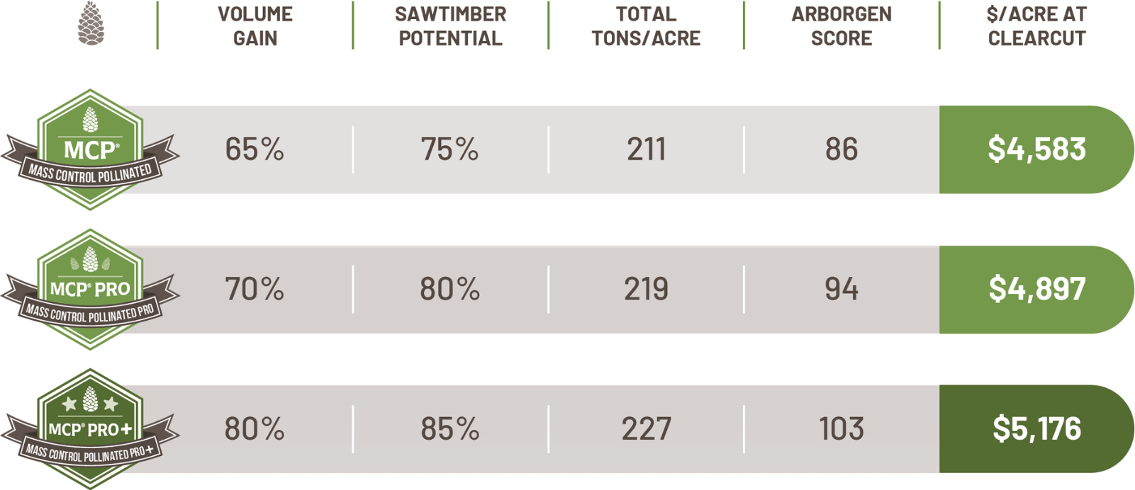 Coastal Mcp N Arborgen Tree Seedlings Mass Control Pollinated Loblolly Pine Seedlings - Mcp