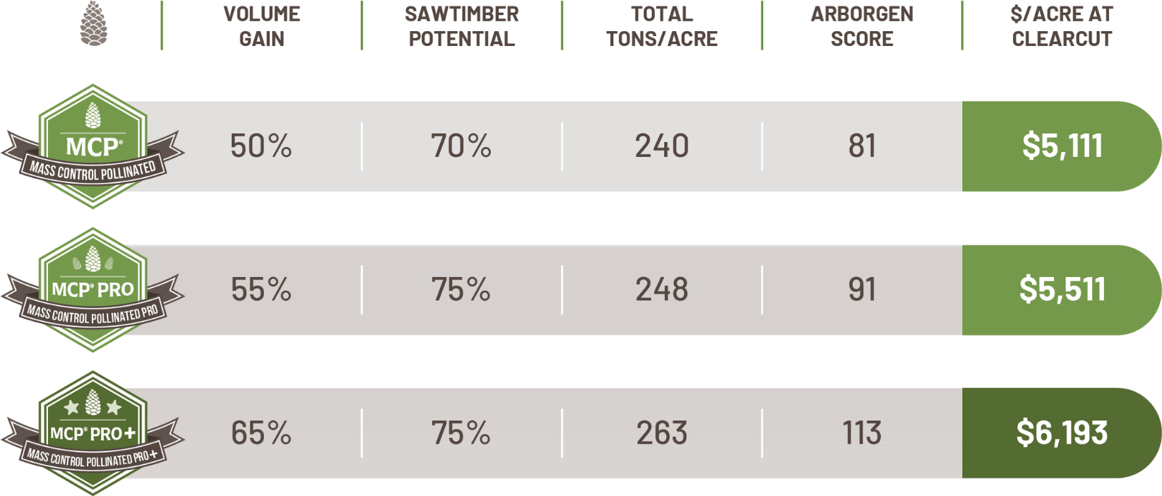 Piedmont Mcp N Arborgen Tree Seedlings Mass Control Pollinated Loblolly Pine Seedlings - Mcp