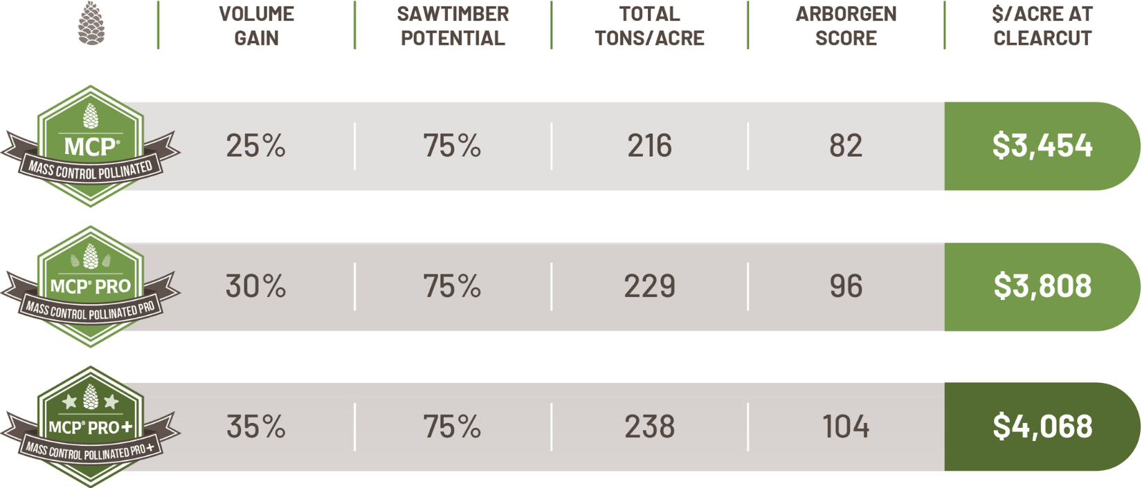 Texas Mcp New Arborgen Tree Seedlings Mass Control Pollinated Loblolly Pine Seedlings - Mcp